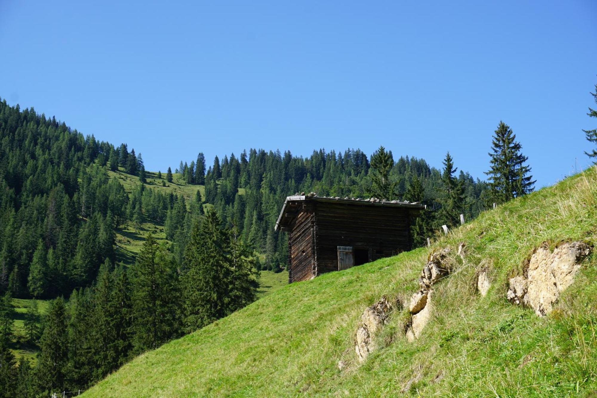 Studio Schwarzenauer Leilighet Alpbach Eksteriør bilde