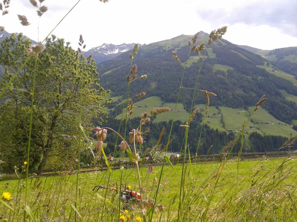 Studio Schwarzenauer Leilighet Alpbach Eksteriør bilde