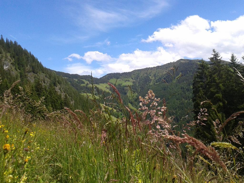 Studio Schwarzenauer Leilighet Alpbach Eksteriør bilde