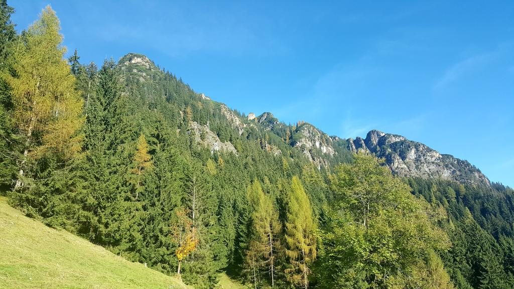 Studio Schwarzenauer Leilighet Alpbach Eksteriør bilde