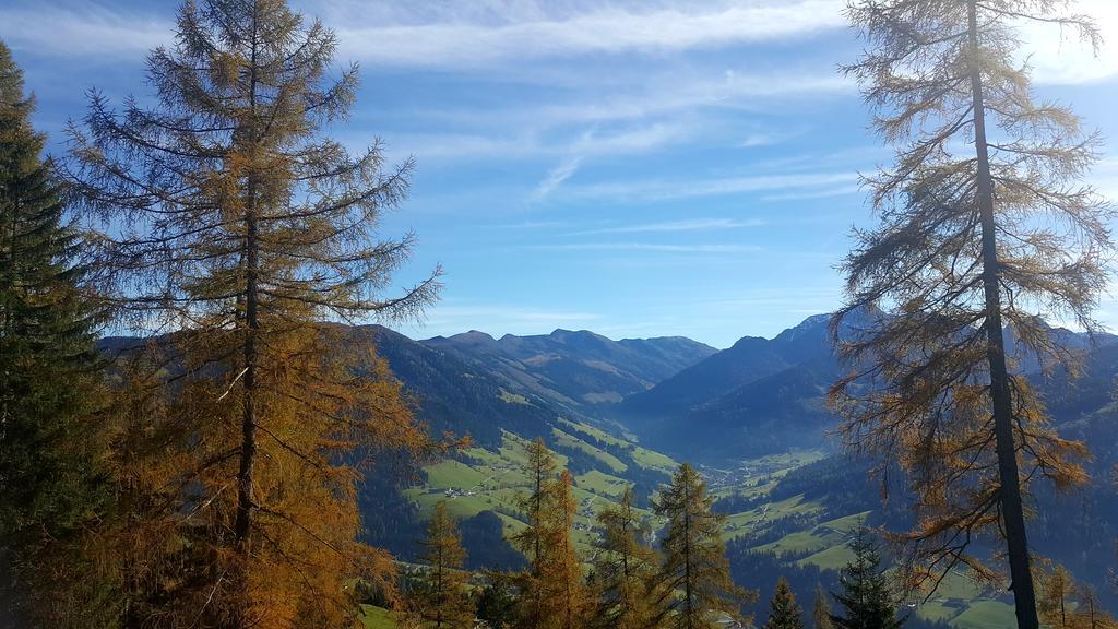 Studio Schwarzenauer Leilighet Alpbach Eksteriør bilde