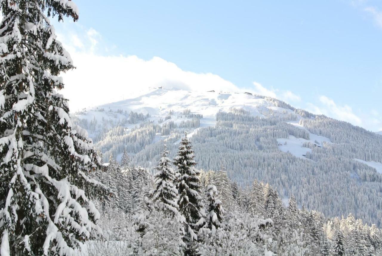 Studio Schwarzenauer Leilighet Alpbach Eksteriør bilde